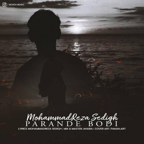 محمدرضا صدیق پرنده بودی